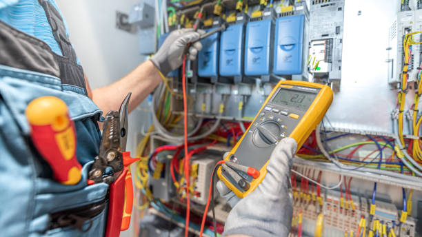 Best Electric Panel Repair  in Magnolia, NJ